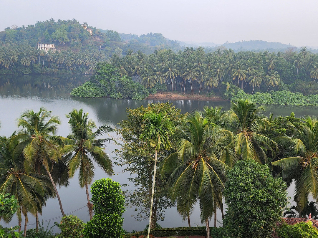 The Raviz Kadavu, Kozhikode主图