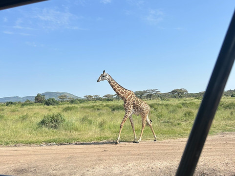 Glitzy Safaris-阿鲁沙必去景点