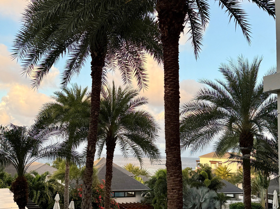 Zemi Beach House, LXR Hotels & Resorts主图