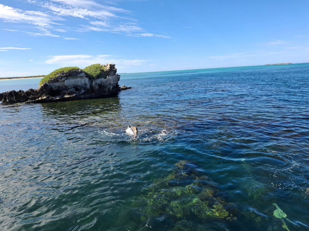 Lobster Shack Sea Lion Tour景点图片