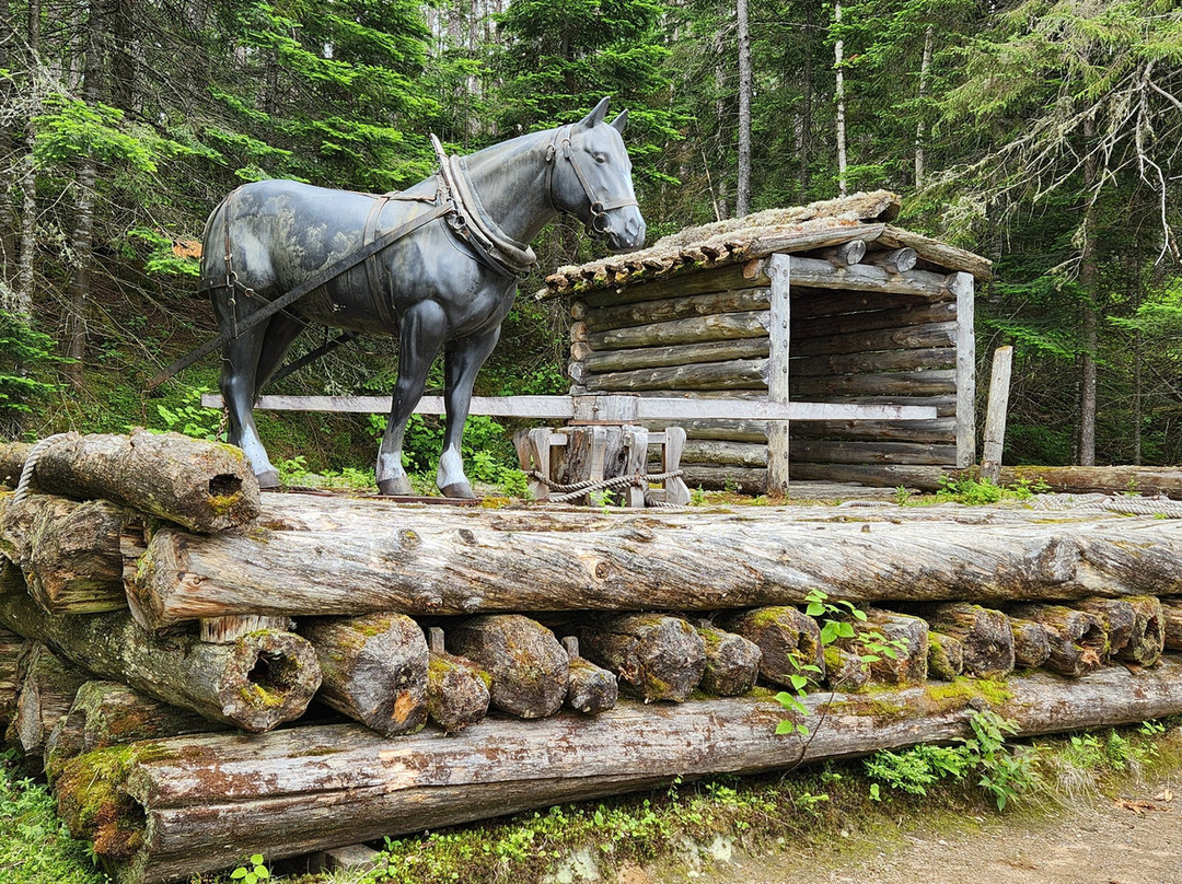 Algonquin Logging Museum景点图片
