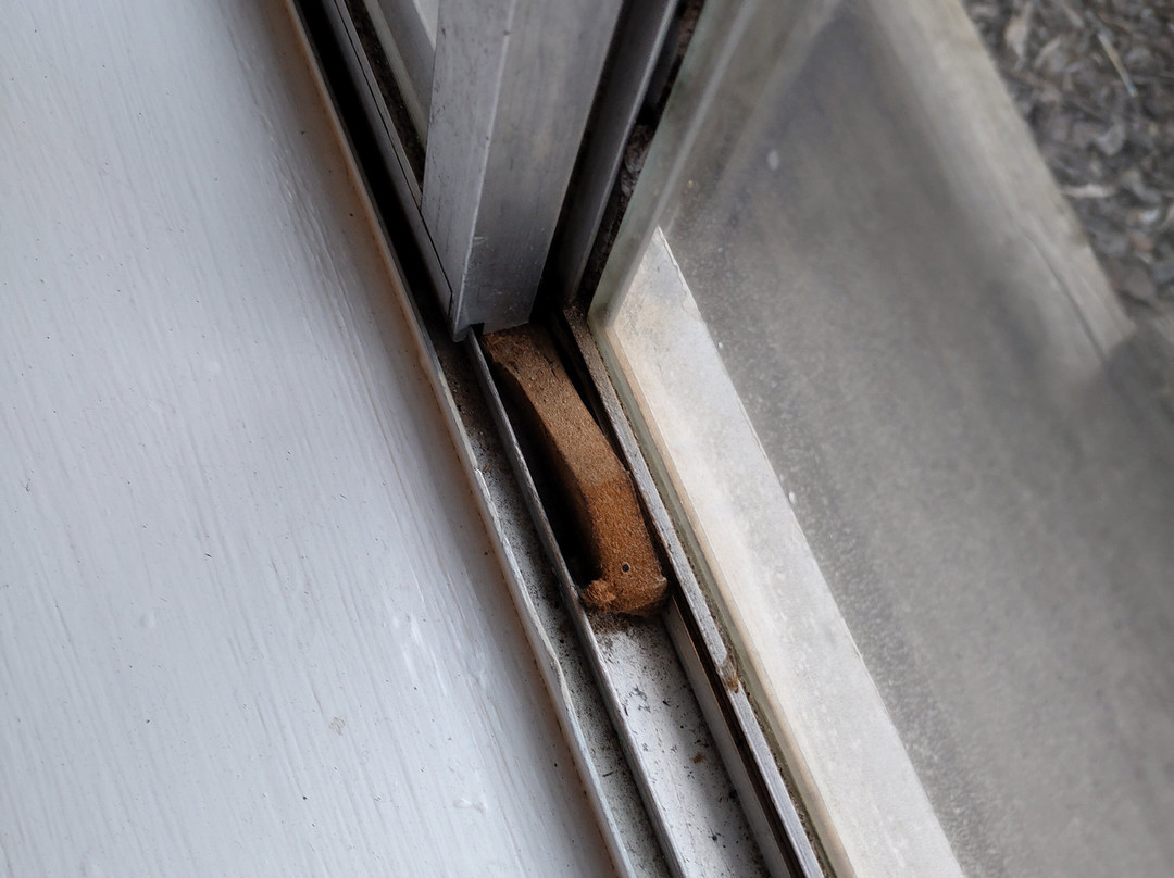 库玛至尊酒店主图