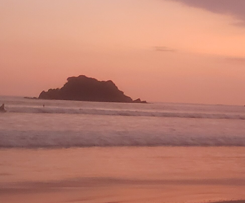 Blue Wave Surf School-瓦勒迦玛必去景点