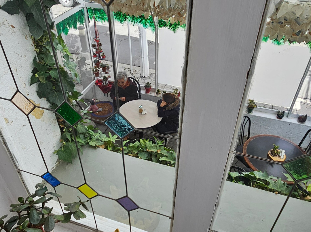 Casa Fusion Hotel Boutique主图