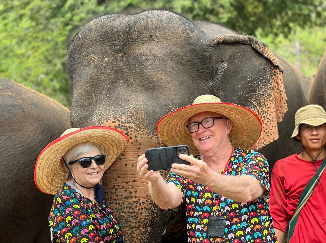 Kanta Elephant Sanctuary-清迈必去景点
