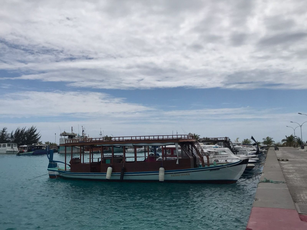 Fathu Dives & Excursion Center景点图片
