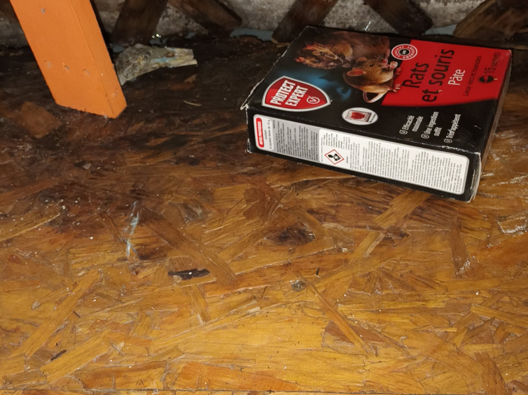 波萨达·曼瑞波莎酒店主图