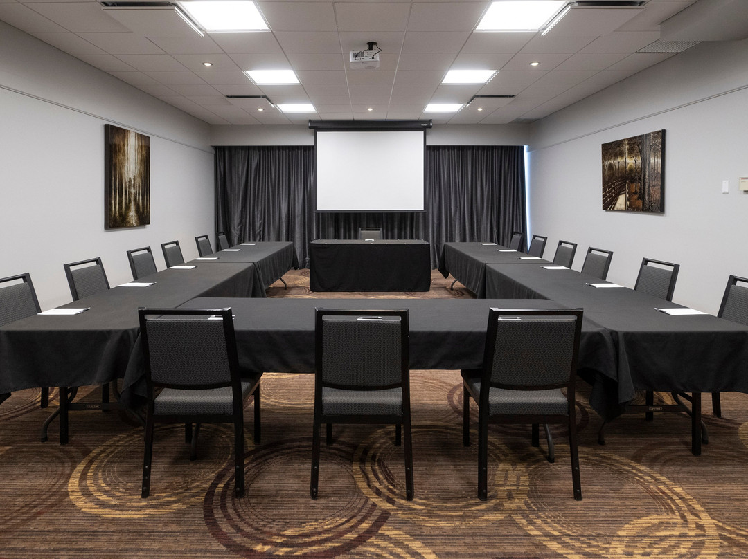 Hôtel Et Suites Le Dauphin Drummondville主图