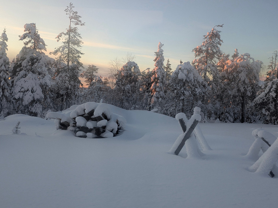 Call of the Wilderness - Activities & Tours-Pyhatunturi必去景点