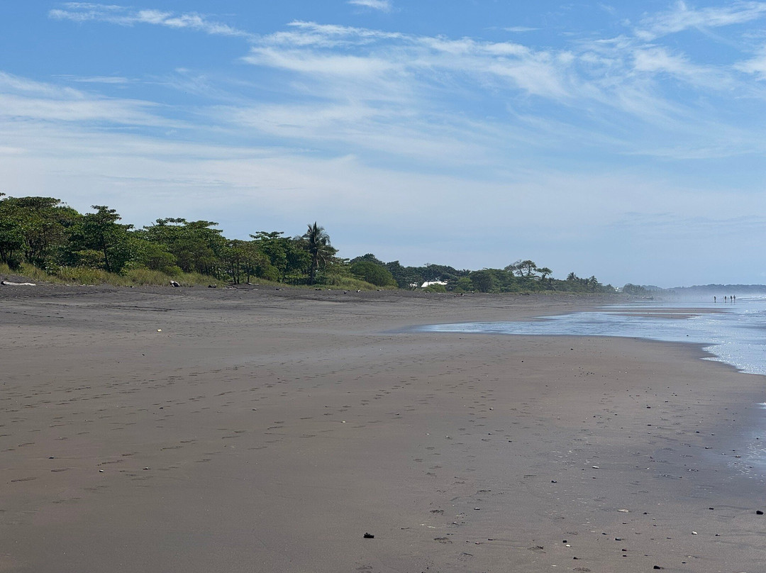 Terraza Del Pacifico主图