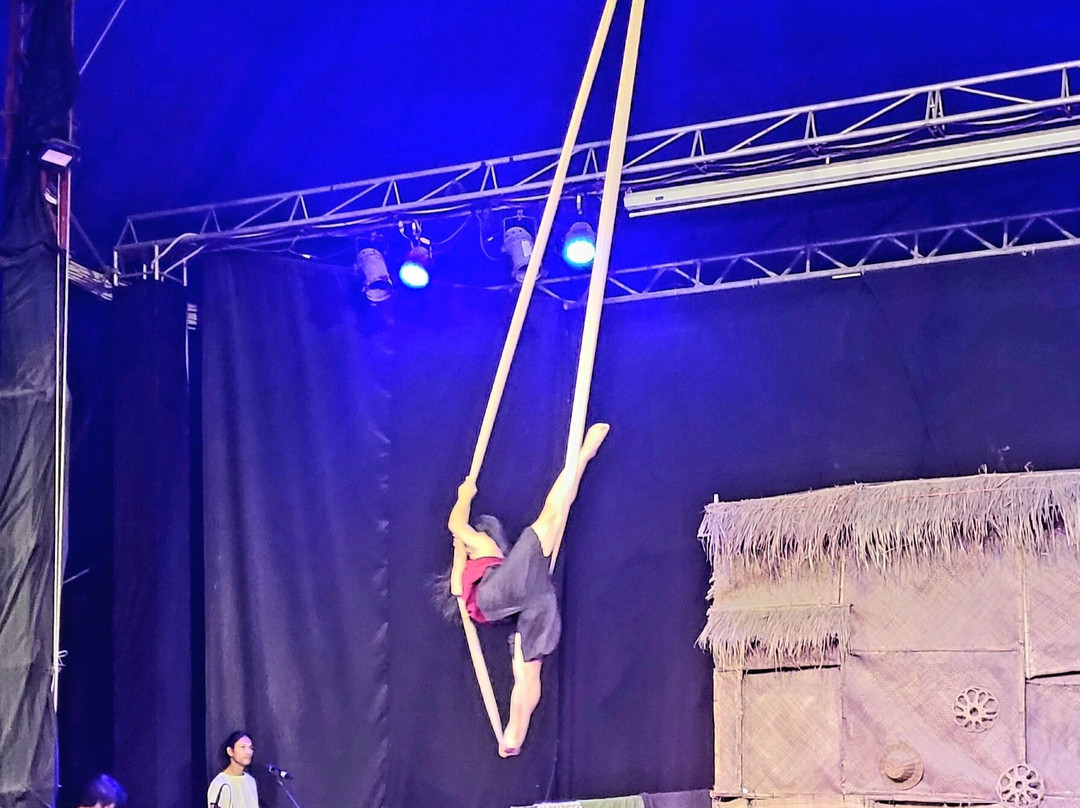 Phare Ponleu Selpak - Battambang Circus-马德望必去景点