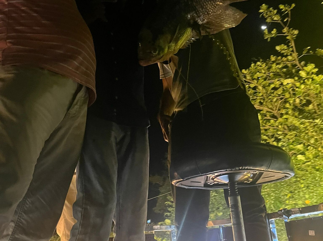 Bow Fishing Lanka-Panadura必去景点