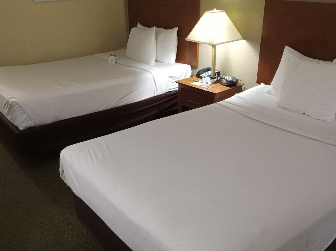 Quality Inn & Suites主图