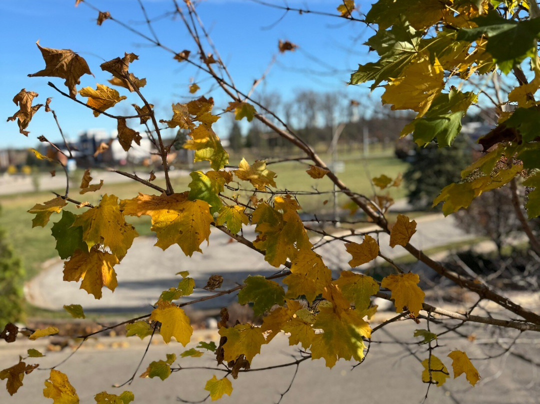 米德兰假日酒店主图