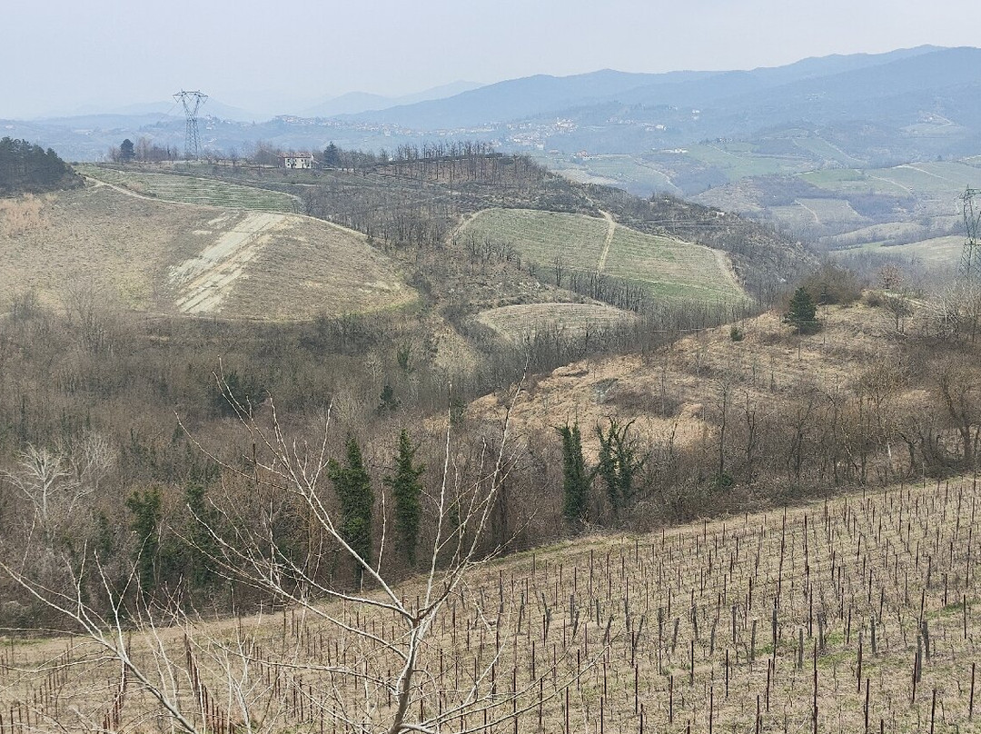 Azienda Agricola Cascina Belvedere 1932-Mornese必去景点