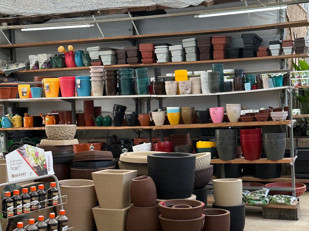 Floricultura Úrsula-Nova Petropolis必去景点