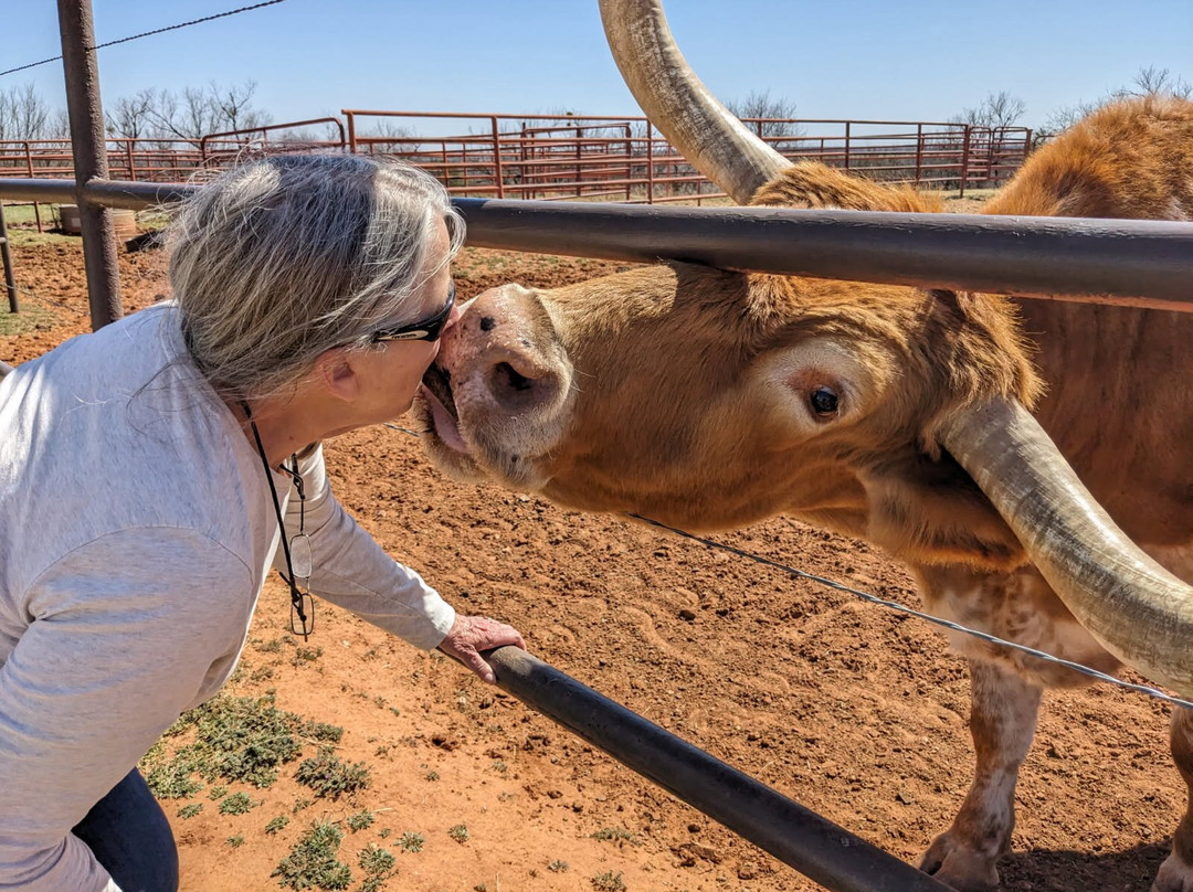 Copper Breaks State Park-Quanah必去景点