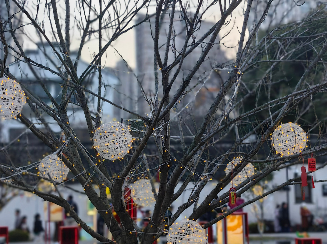 青果巷-常州市必去景点