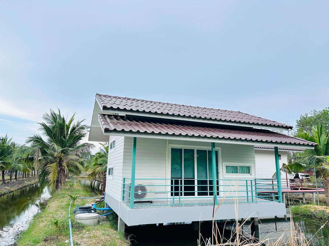 Coco and Canal HomeStory