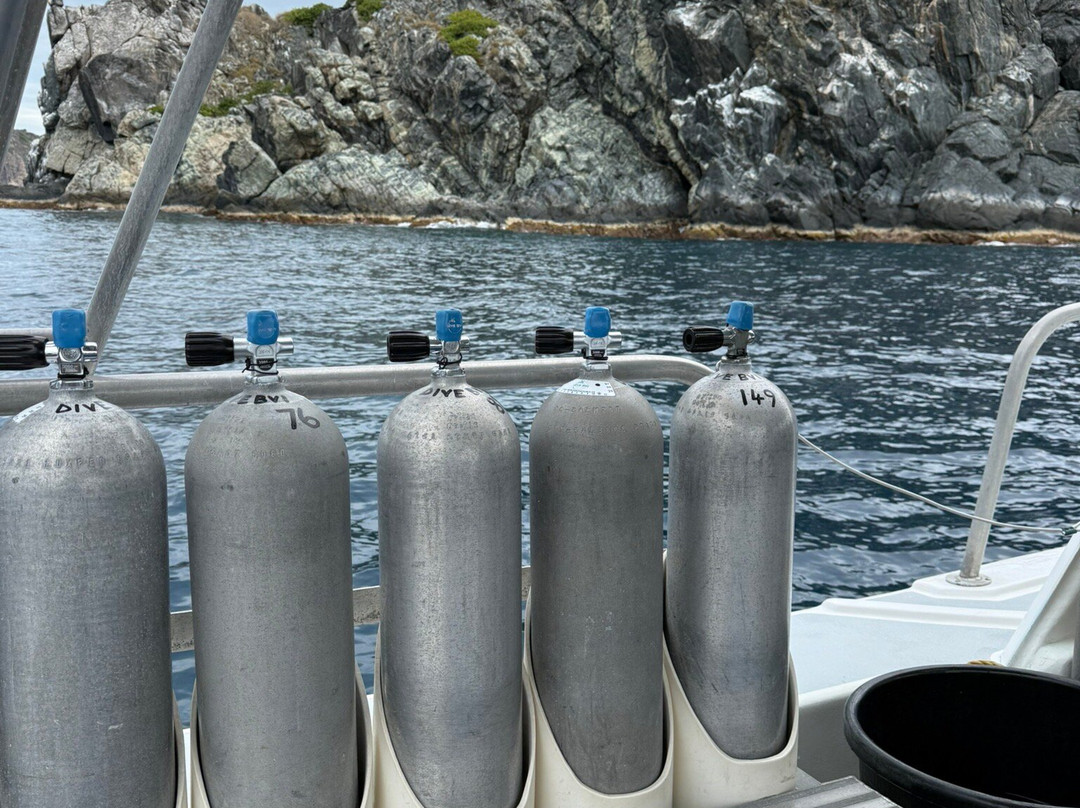 Dive BVI-Spanish Town必去景点