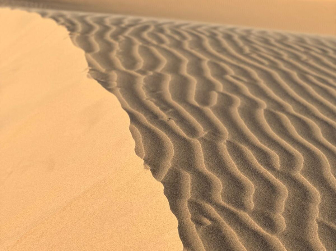 Marokko Trend-迈哈米德必去景点