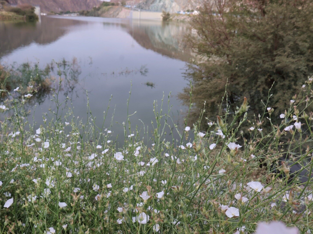 Wadi Shawka-Emirate of Ras Al Khaimah必去景点