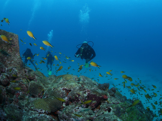 Sea Paradise-费尔南多-迪诺罗尼亚群岛必去景点