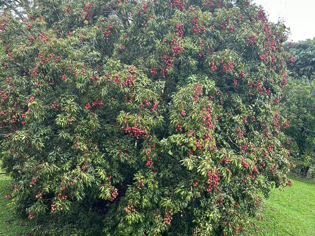 Finca Villa Nora主图