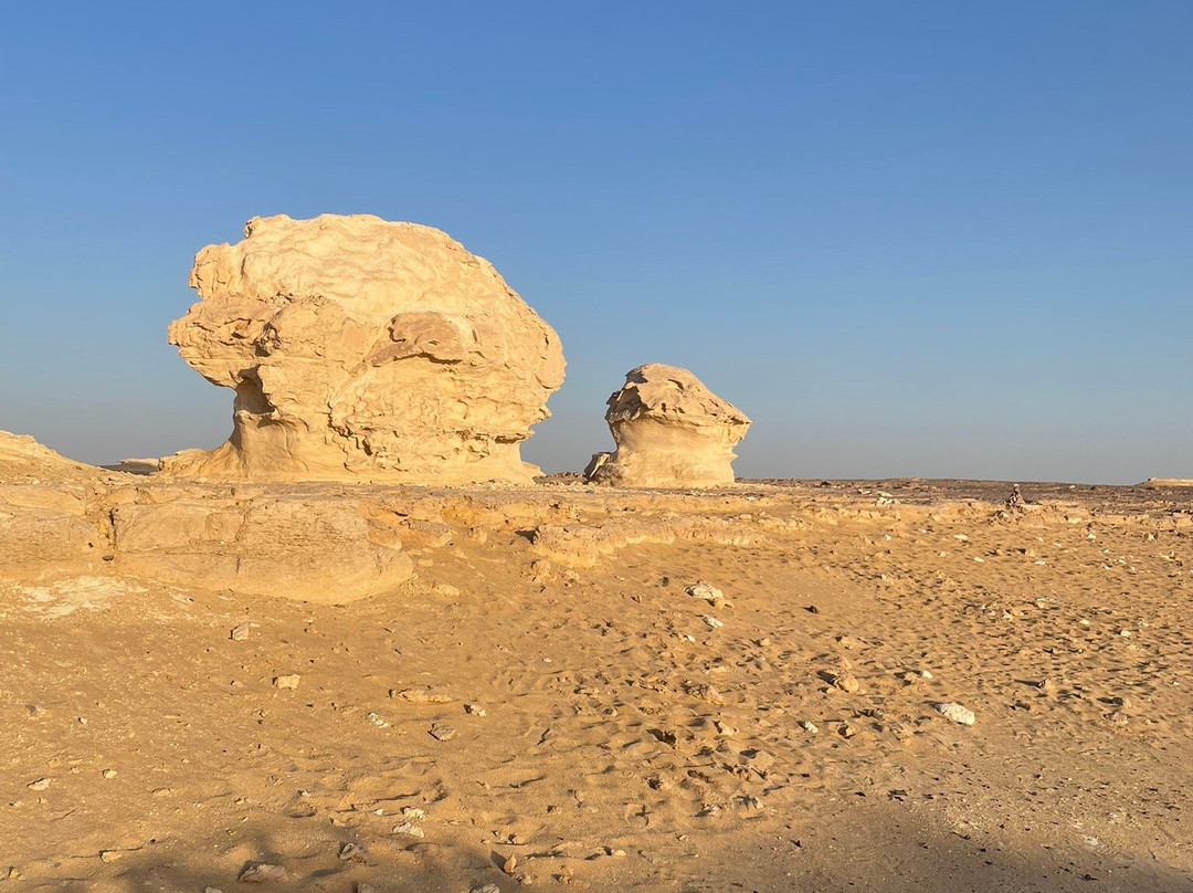 White Desert Safari景点图片