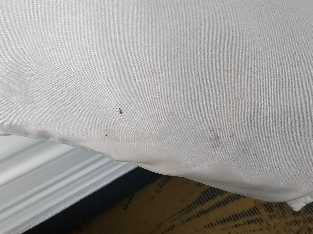 Days Inn by Wyndham Roanoke Near I-81主图