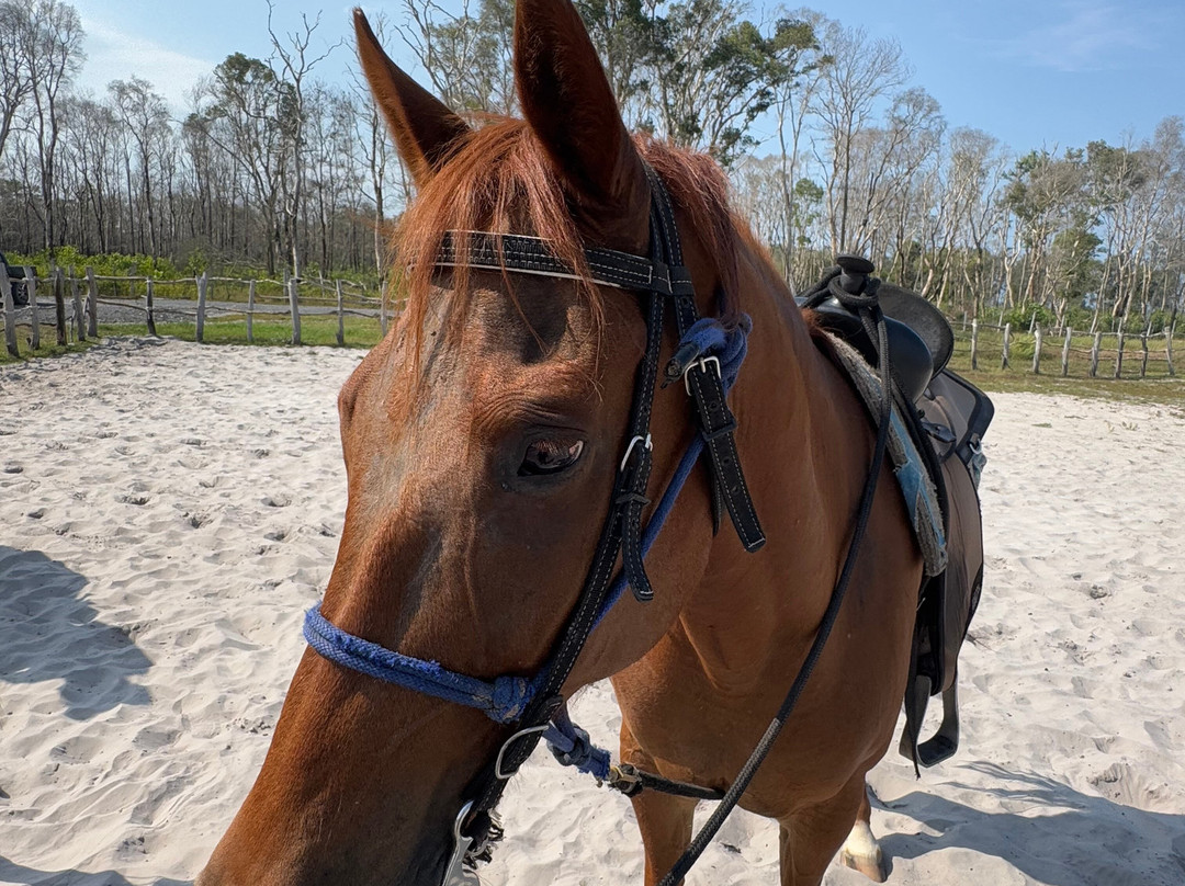 Pirates Bar Horse riding-兰塔岛必去景点