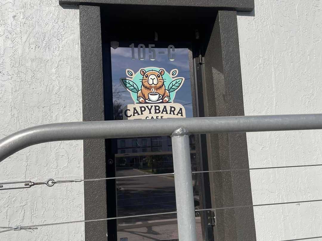 Capybara Cafe景点图片