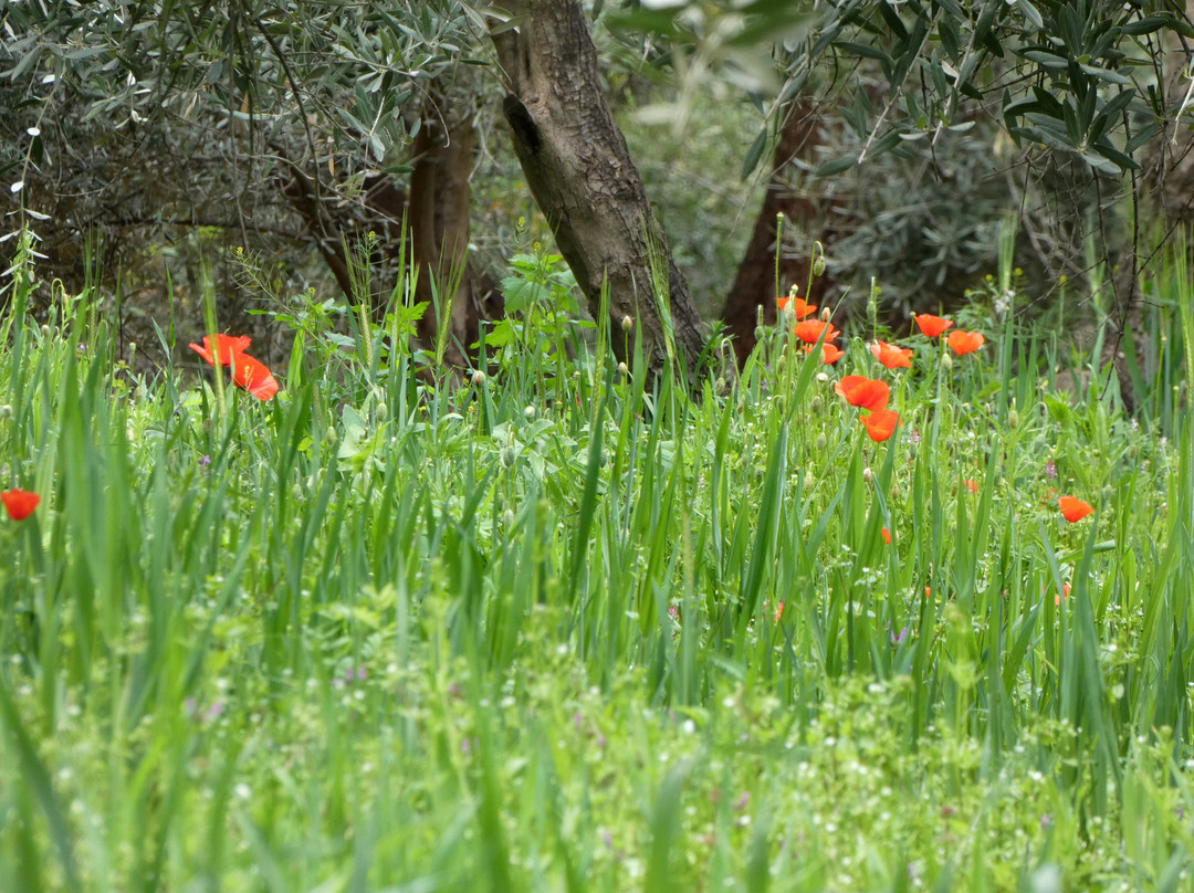 Berbere Atlas Experience-奥伊俄贞必去景点