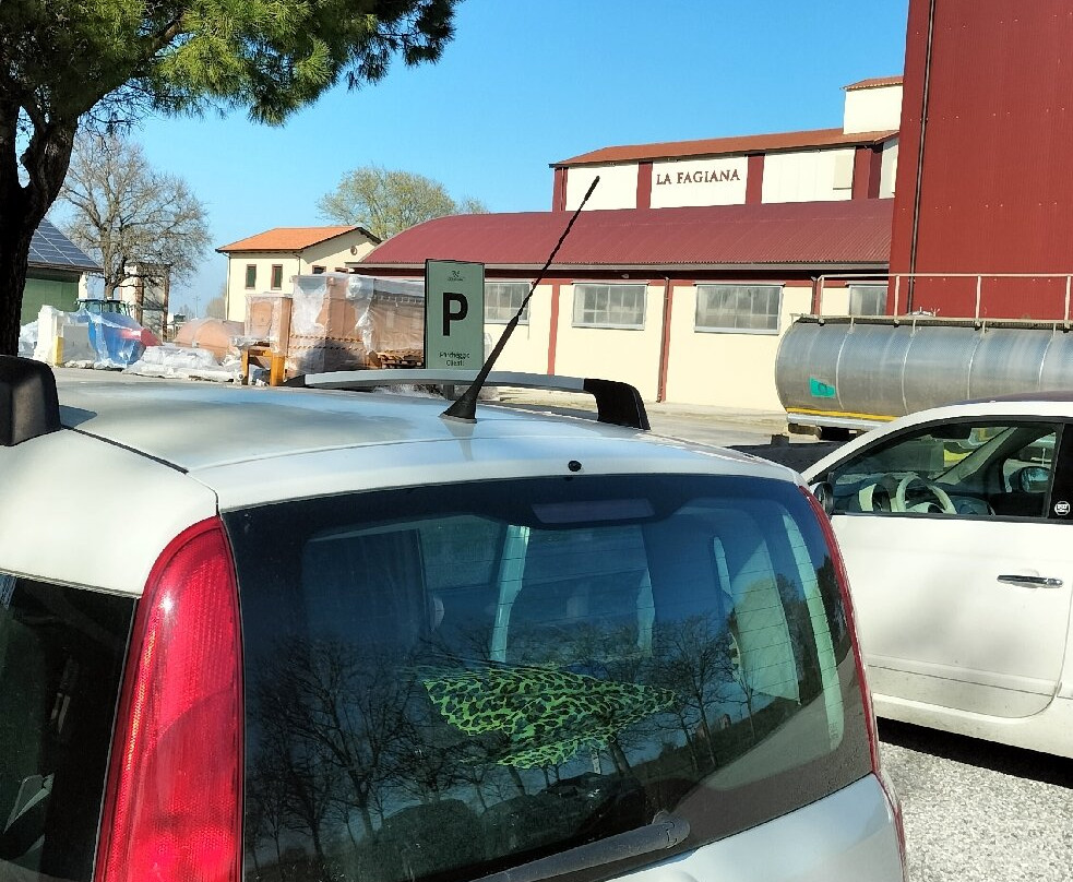 Azienda Agricola La Fagiana-Torre di Fine必去景点