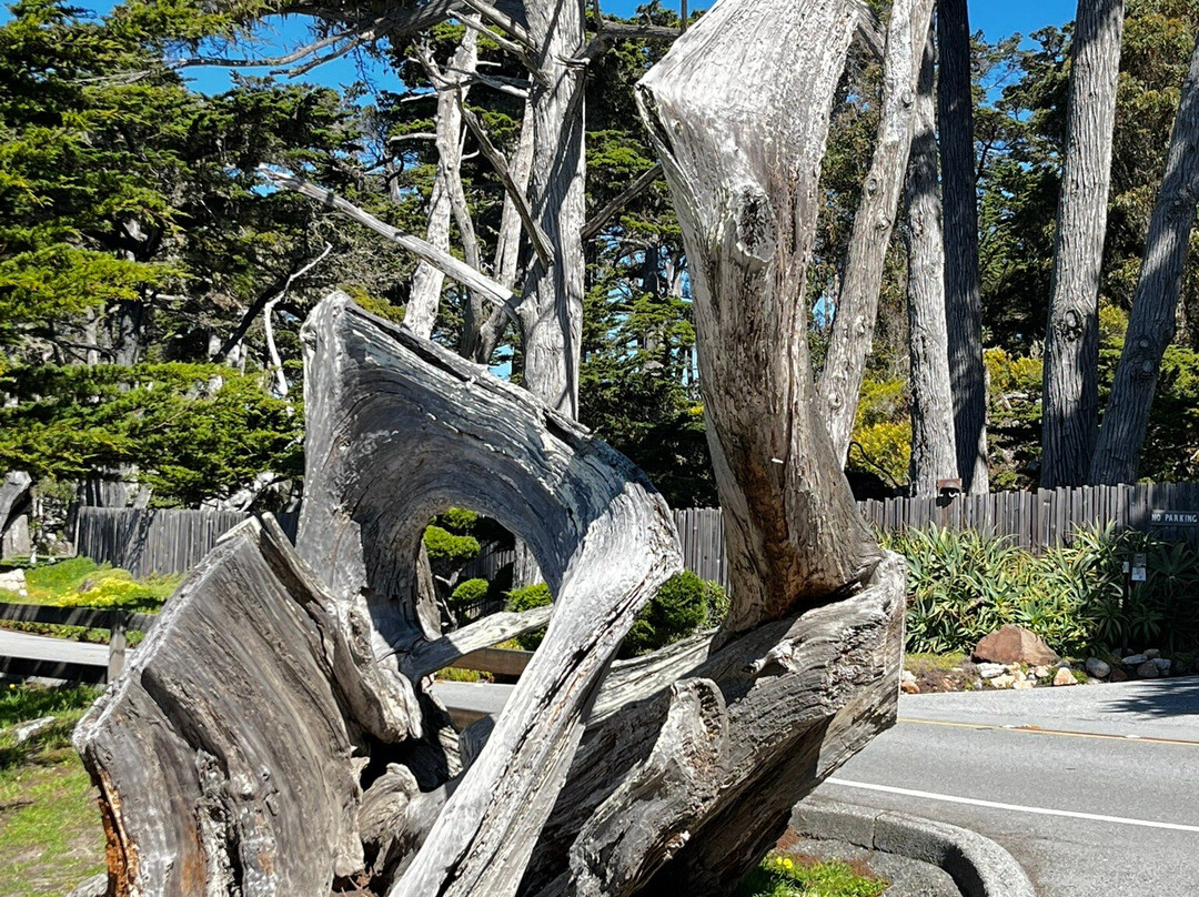 Pescadero Point-圆石滩必去景点