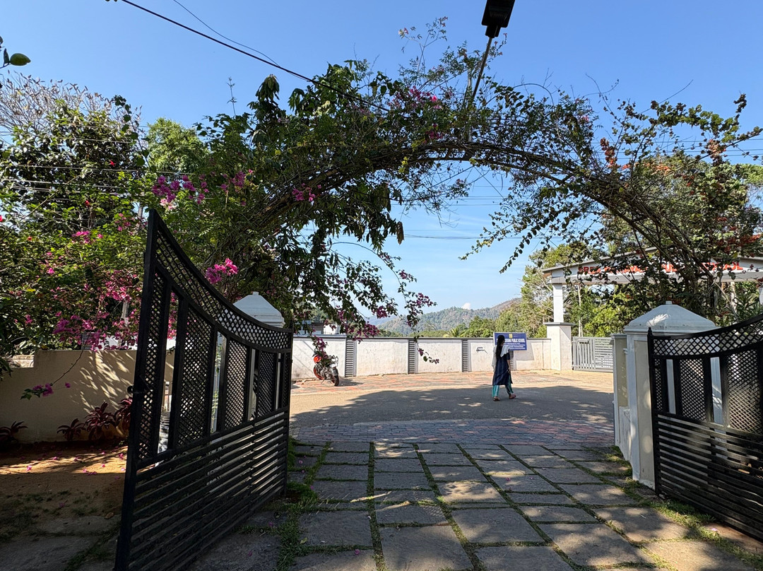 Ayurgem Ayurveda Yoga & Wellness Retreat Munnar景点图片