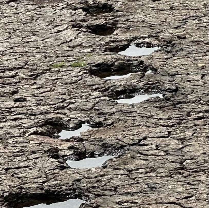 Valley of the Dinosaurs-Sousa必去景点