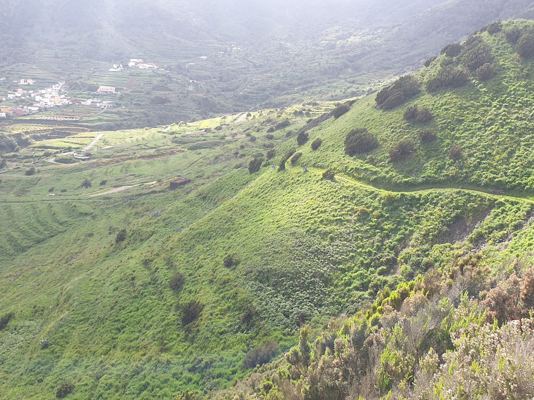 Sergio Walking Tours-特纳里夫必去景点
