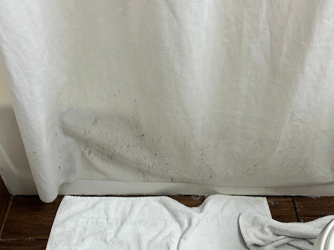 Microtel Inn & Suites by Wyndham Ardmore主图