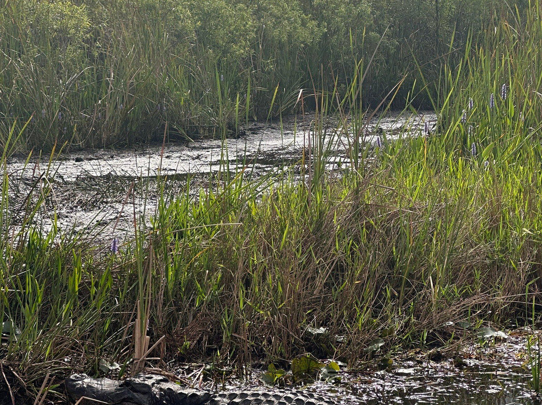 Mack's Fish Camp - Tours-海厄利亚必去景点