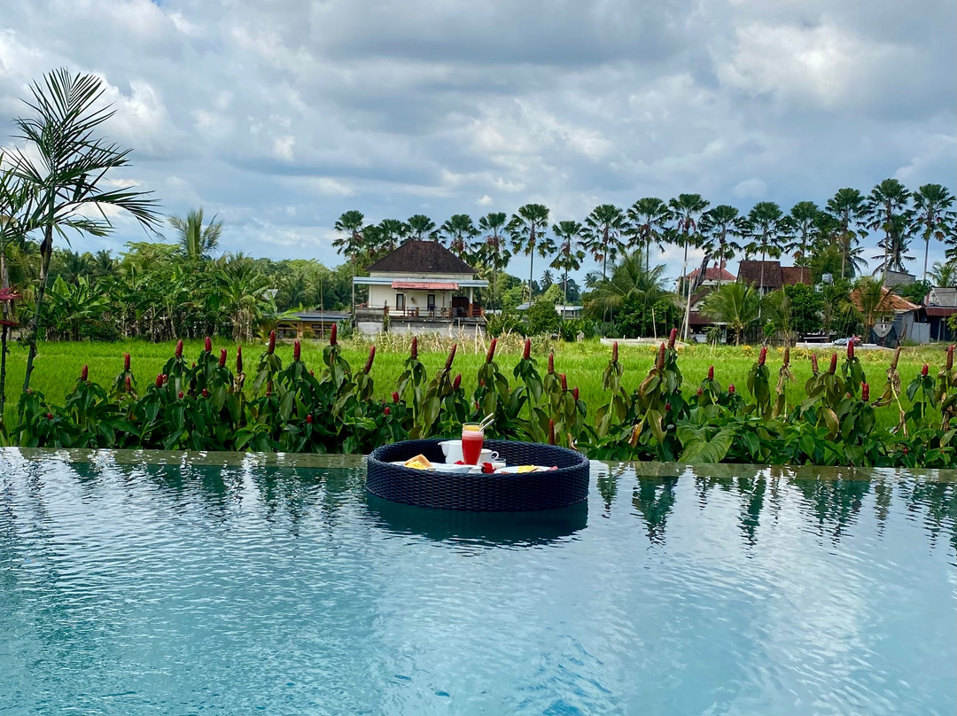 Paraiso Cottage主图