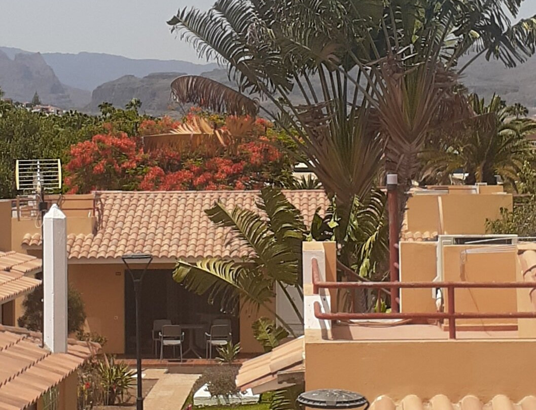 Bungalows Parque Bali主图