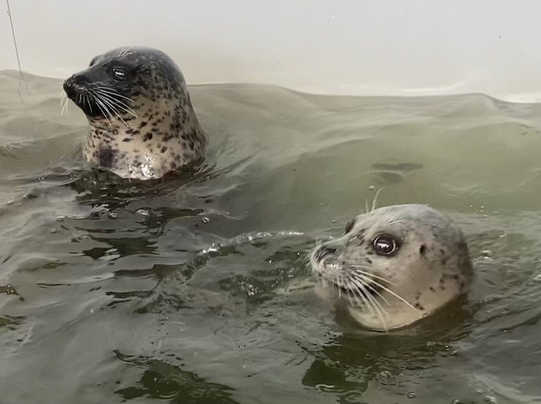 Seaside Aquarium-锡赛德必去景点