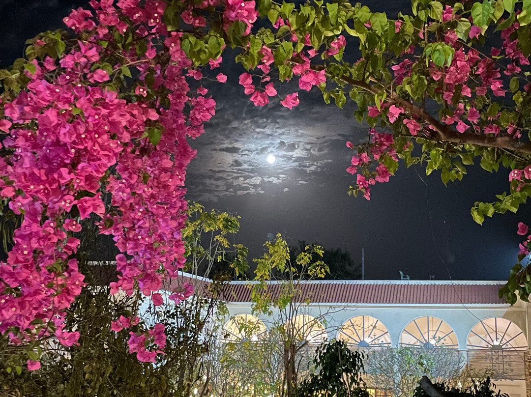 The Kipling Lodge - Nature Kalp, Ranthambore主图