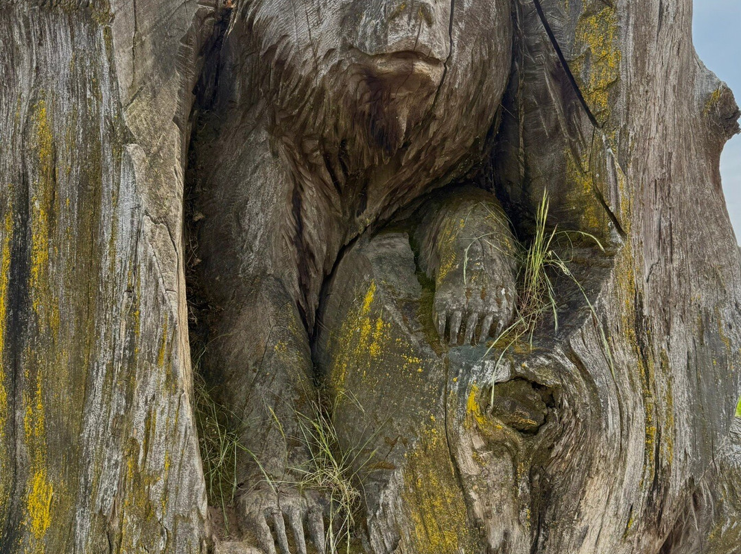 Lemon Grove Carved Statues-Lemon Grove必去景点