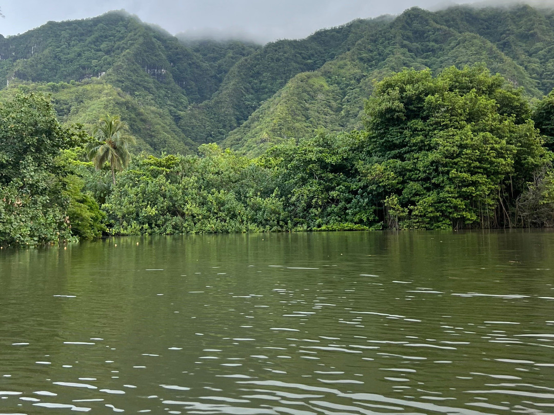 Salty Kayaks Hawaii-卡内奥赫必去景点
