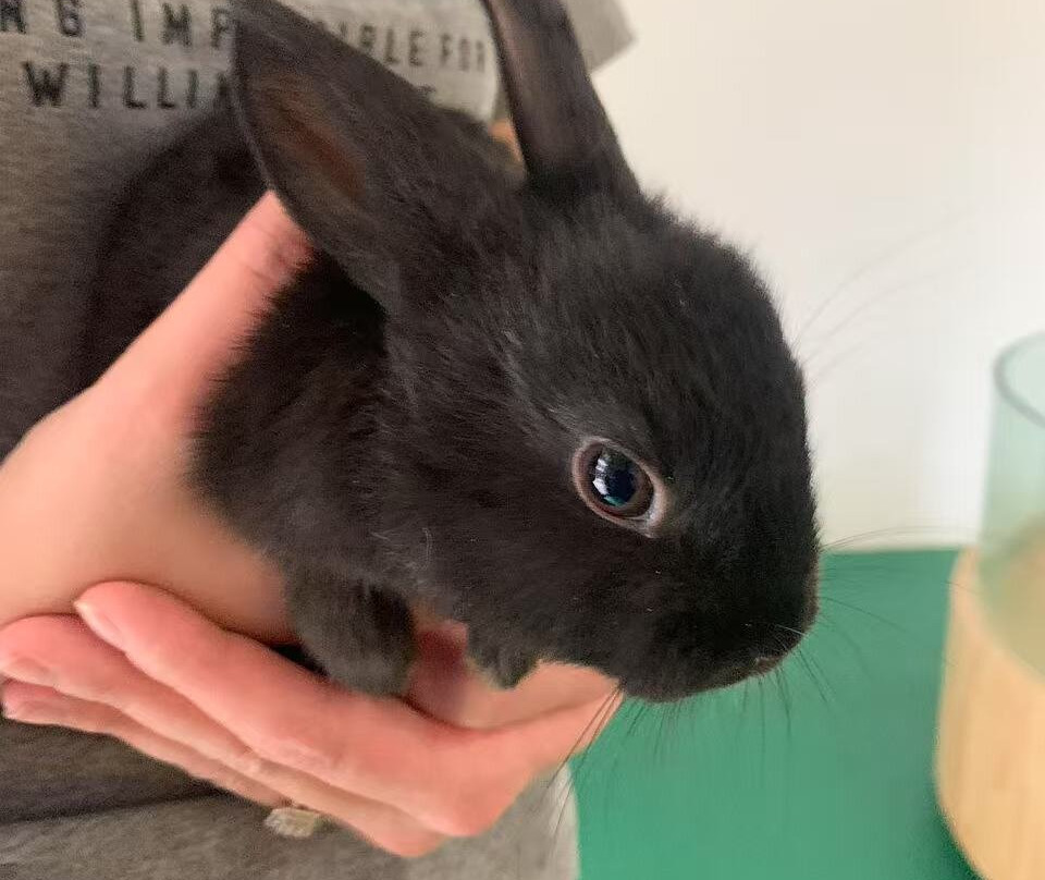 Haitan Ancient City Scenic Area-平潭县必去景点