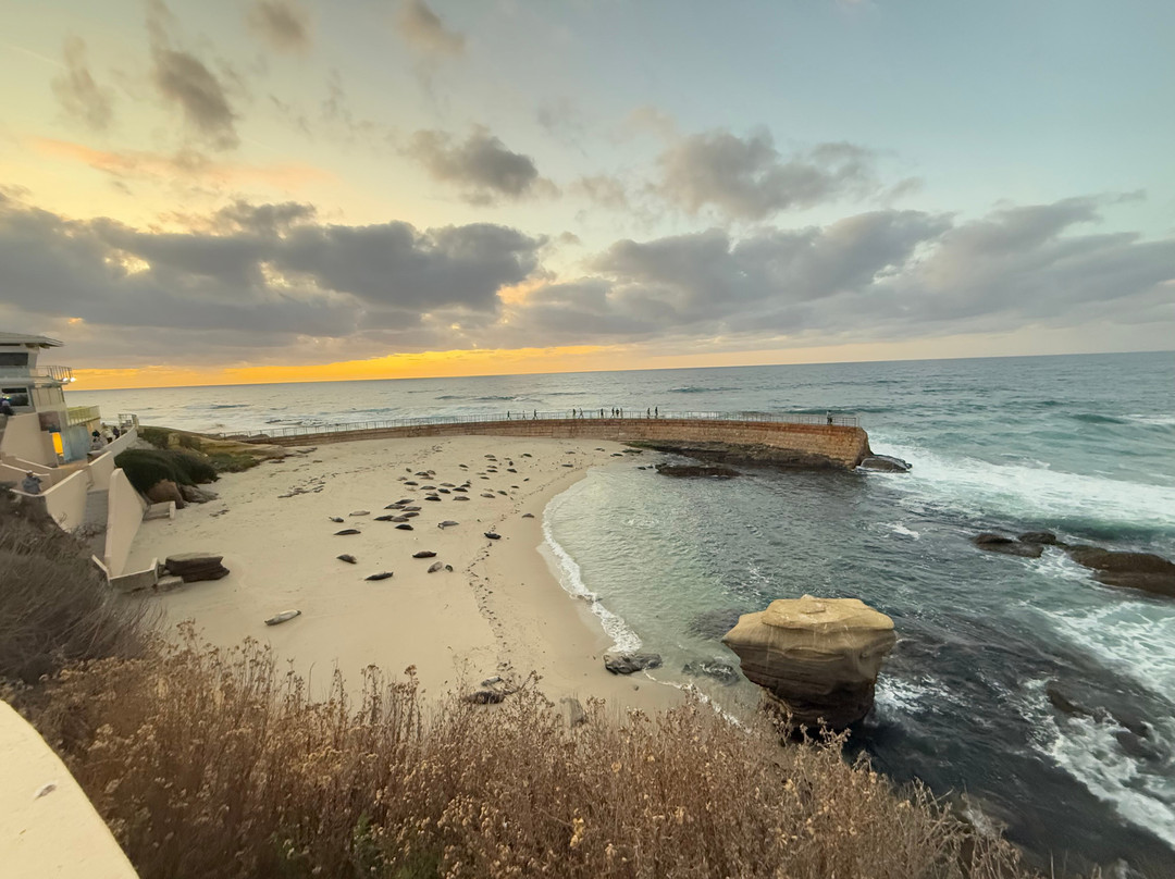 Shell Beach Tide Pools-拉荷亚必去景点