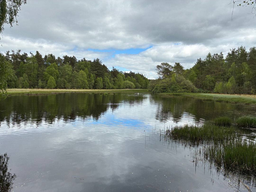 Devilla Forest-Kincardine必去景点