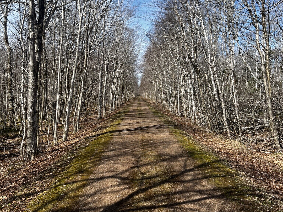 The Georgetown Inn & Restaurant主图